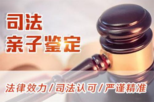 梅州司法DNA亲子鉴定去哪里办理,梅州司法DNA亲子鉴定出结果时间